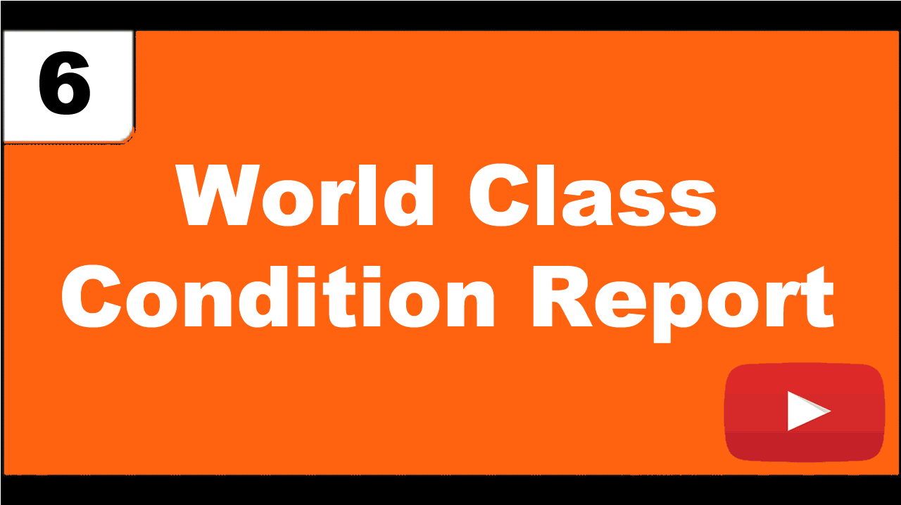 World Class Vehicle Condition Report
